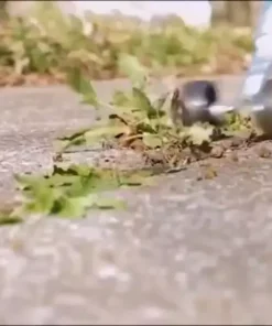 алат за чистење плевел и мов - alat za chistenje plevel i mov - alat za cistenje plevel i mov - alat za cistene plevel i mov - Слика 2