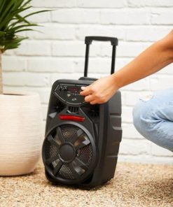 караоке звучник од 8 инчи - karaoke zvuchnik od 8 inchi - karaoke zvucnik od 8 inci - Слика 6