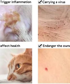 огрлица за заштита од болви и крлежи за домашни миленици - ogrlica za zashtita od bolvi i krlezhi za domashni milenici - ogrlica za zastita od bolvi i krlezi za domasni milenici - Слика 3